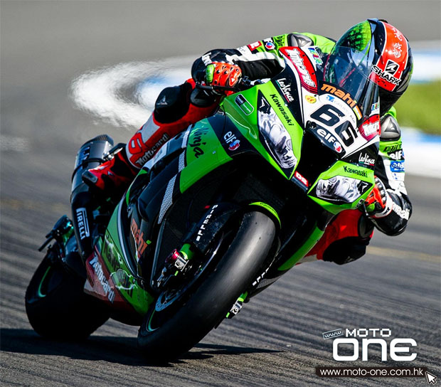 SHARK TOM SYKES