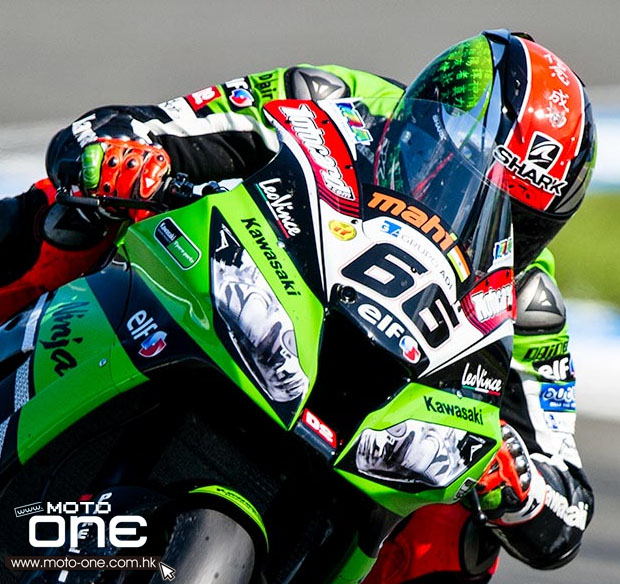 SHARK TOM SYKES