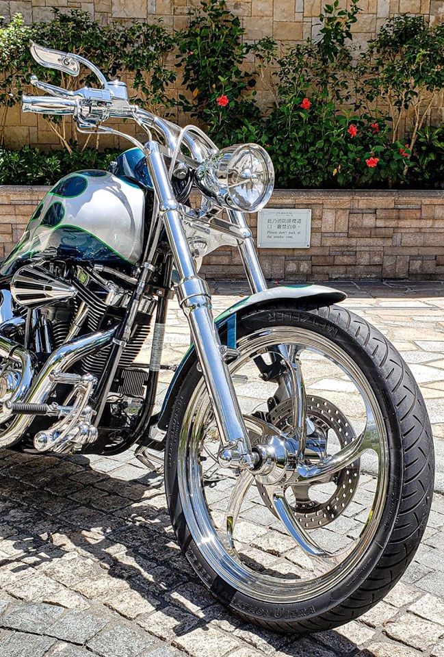 1994 HD Softail CHROME Custom