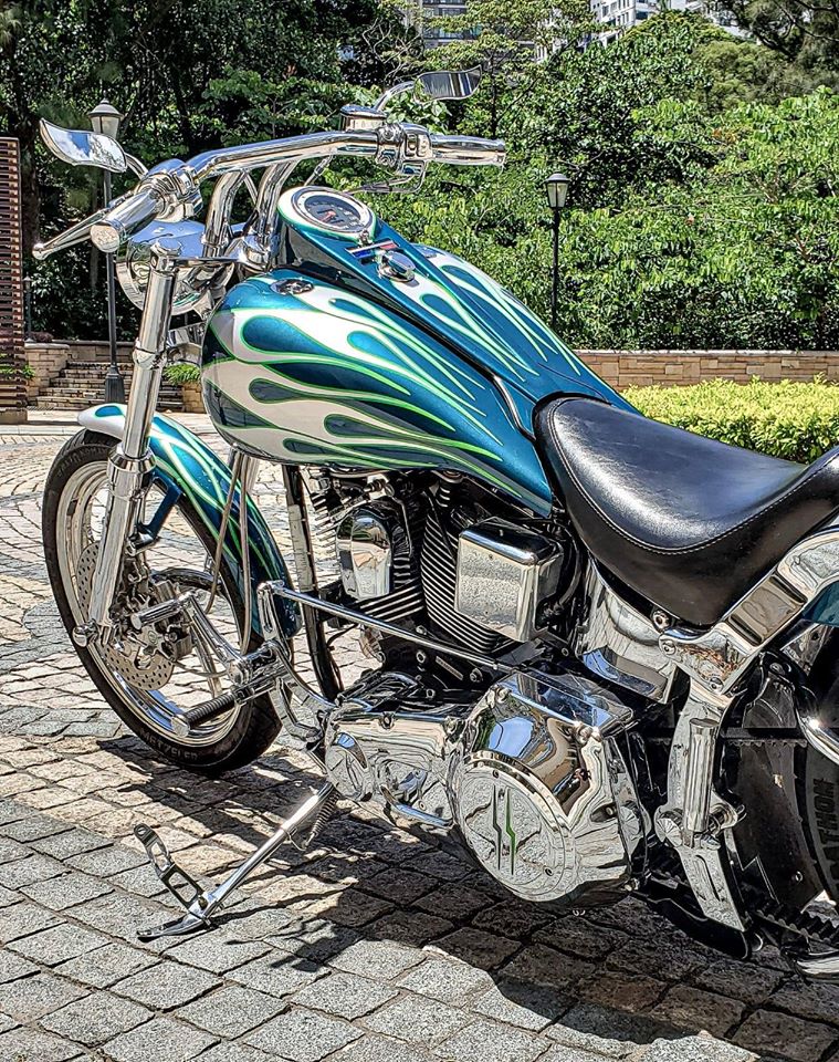 1994 HD Softail CHROME Custom